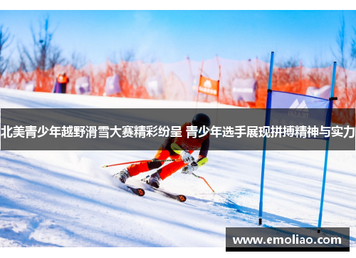 北美青少年越野滑雪大赛精彩纷呈 青少年选手展现拼搏精神与实力 北美青少年越野滑雪大赛精彩纷呈 青少年选手展现拼搏精神与实力