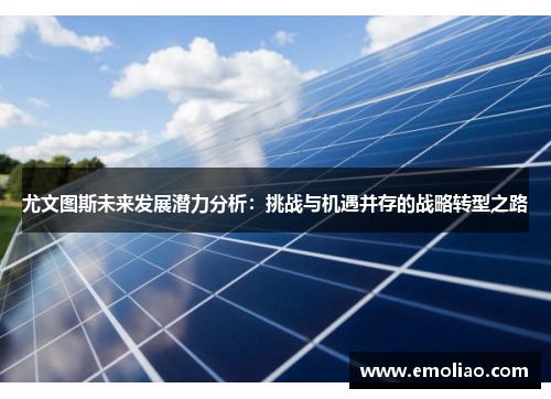 尤文图斯未来发展潜力分析:挑战与机遇并存的战略转型之路 尤文图斯未来发展潜力分析:挑战与机遇并存的战略转型之路