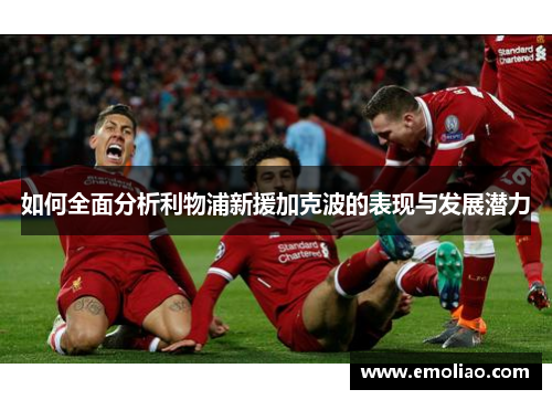 如何全面分析利物浦新援加克波的表现与发展潜力