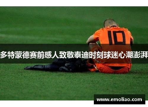 多特蒙德赛前感人致敬泰迪时刻球迷心潮澎湃 多特蒙德赛前感人致敬泰迪时刻球迷心潮澎湃