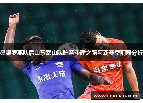 桑德罗离队后山东泰山队阵容重建之路与新赛季前瞻分析