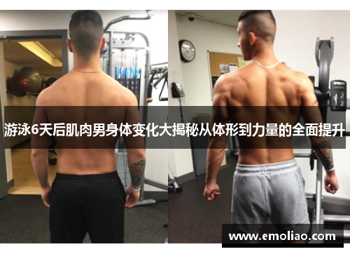 游泳6天后肌肉男身体变化大揭秘从体形到力量的全面提升 游泳6天后肌肉男身体变化大揭秘从体形到力量的全面提升
