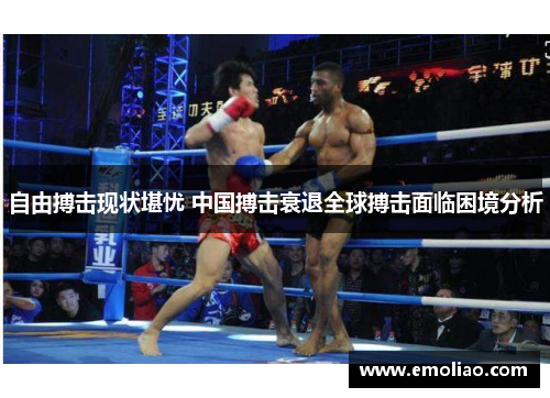 自由搏击现状堪忧 中国搏击衰退全球搏击面临困境分析