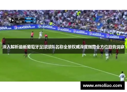 深入解析最新葡萄牙足球球队名称全景权威深度指南全方位趋势洞察